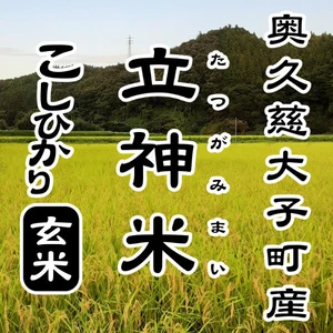 【特別栽培米】立神米こしひかり【玄米・R5年 大子町産】