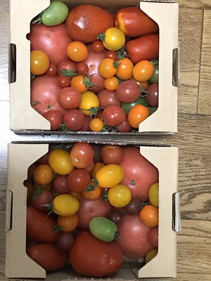 みんなの投稿の画像