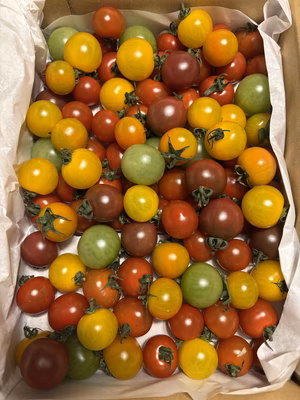 みんなの投稿の画像