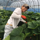 中野聖太 | なかの農園