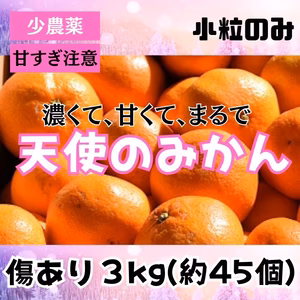 小玉と小粒を厳選！農家直送★ 甘い和歌山 減農薬 有田みかん 3kg