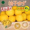 【お徳用】柚子（ユズ）約10kg【訳あり】