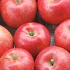 10月中旬～さむさわのりんご 贈答用 シナノスイート１０キロ 28～36玉