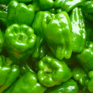 緑の力！ピーマン～30個＝農薬／化学肥料・不使用
