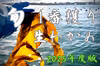 2025年度『一旬を味わう』今しか食べられない1番獲り生わかめ
