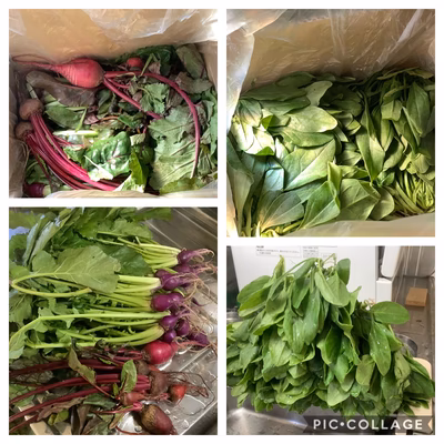 みんなの投稿の画像