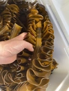 天然③春の海産物