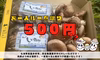 【ワンコインお試しセット】500円☆超お得なしいたけセット【お一人様一点限り】
