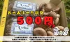 【ワンコインお試しセット】500円☆超お得なしいたけセット【お一人様一点限り】