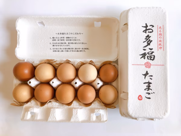 【環境省公認】走る鶏の放牧卵　お多福たまご【１パック／１０個入】