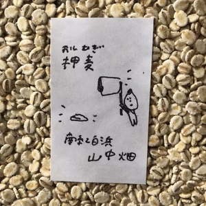 和歌山県白浜産　全粒粉2kg 押し麦2つ　