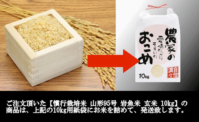 【山形県産】慣行栽培米 山形95号 岩魚米（玄米10kg 令和４年産）