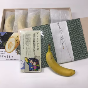 ★贈り物に★木更津ファーム『きみさらずバナナ』【木箱入り国産バナナ５本セット】