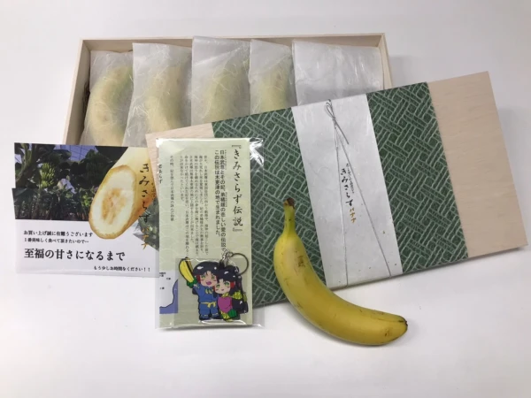 ☆贈り物に☆木更津ファーム『きみさらずバナナ』【木箱入り国産バナナ