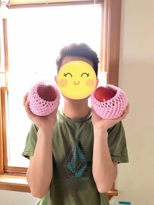 みんなの投稿の画像