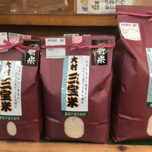 令和4年長崎県大村産米　精米　栽培期間中農薬　除草剤　不使用　