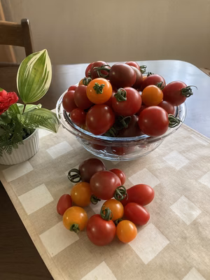 みんなの投稿の画像