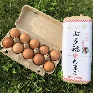 【環境省公認】走る鶏の卵！お多福たまご