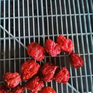 激辛乾燥ハバネロ