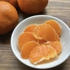 食べ比べる⁉︎ 3種の柑橘セット【農薬不使用】