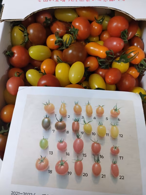 みんなの投稿の画像