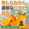 紀伊路屋 有田のみかんジャム140g
