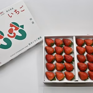 大粒いちご（とちあいか）30粒