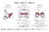 ほくほく食感と上品な甘さ！なると金時(中サイズ)5kg