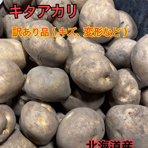 ●訳あり品 じゃがいも キタアカリ ●10キロ ●北海道 ジャガイモ