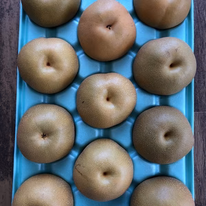 豊水　家庭用5㎏特大11玉　4Lサイズ超