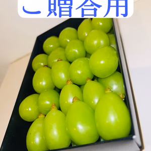 ご贈答用シャインマスカット 厳選粒のみ 長野県南信州産