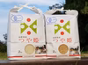 令和6年産　JAS有機栽培つや姫玄米2㎏　白米2㎏