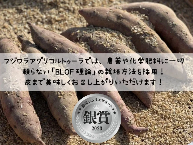 【野菜ソムリエサミット銀賞受賞】【大きめサイズ】浮気できなくなるこの甘さ！