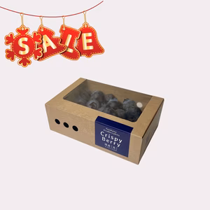 ☆セール中☆【冬の国産生ブルーベリー】　100g×1pc