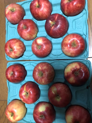 みんなの投稿の画像