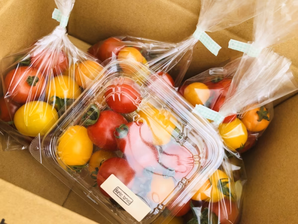 彩り✳︎ミニトマトセット！今ならおまけ付き♡