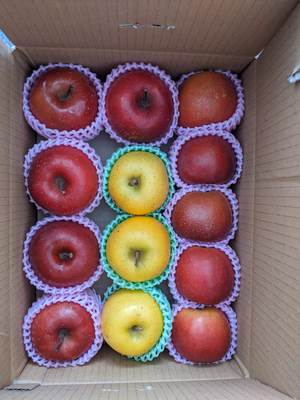 みんなの投稿の画像