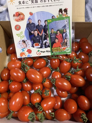 みんなの投稿の画像