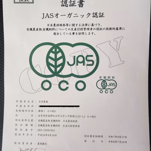 オーガニック(有機)蓮根　佐賀白石(福富)　シャキシャキで甘いよ～