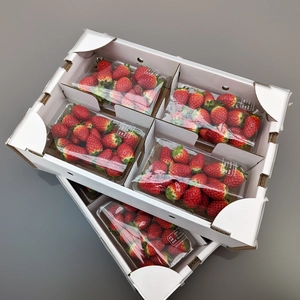 【産地直送】デザート作りに最適な小粒イチゴ (1箱4パック入り)