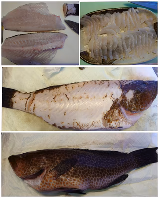 みんなの投稿の画像