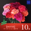 クリスマス限定★【HOT赤系】高級カーネーション詰合せ(10本セット)