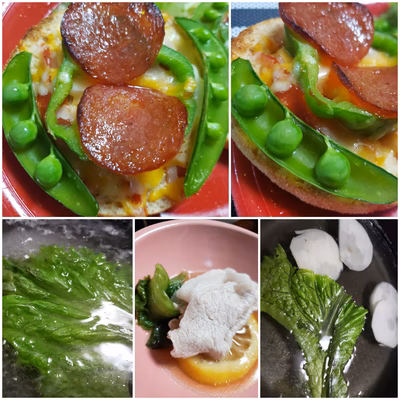 みんなの投稿の画像