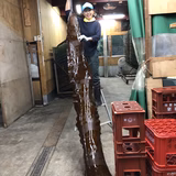 平沼亜貴 | 平沼漁業部