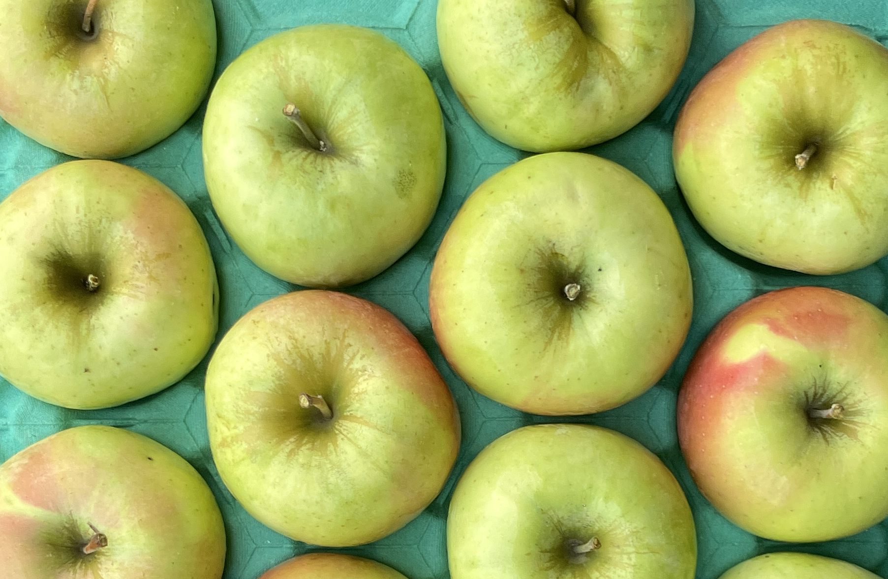 販売中！】青森県産りんご「ぐんま名月」家庭用 贈答用 キズ有 光