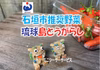 【琉球島とうがらし】石垣市農林水産部推奨・島野菜
