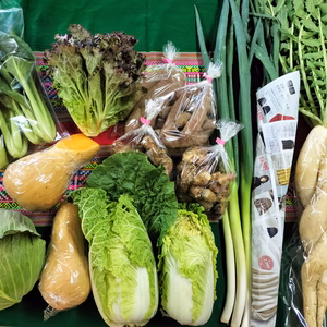 数量限定★お楽しみ野菜セット　シェア買い１４袋〜対策　パチャママ農園　規格外