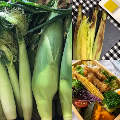 みんなの投稿の画像