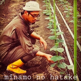 小菅一樹 | みなもの畑