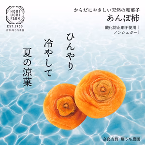《奈良県産》半熟とろーり♪完全無添加あんぽ柿　3個入パック
